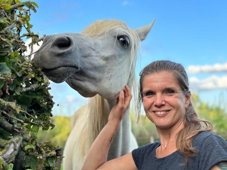 WAAROM BEN Ik PAARDENCOACH GEWORDEN?